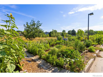 5620 Fossil Creek Pw #7101, Fort Collins, CO 80525
