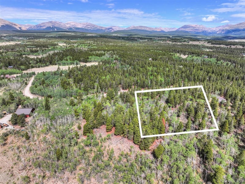 198 Green Bottle Cir, Fairplay, CO 80440