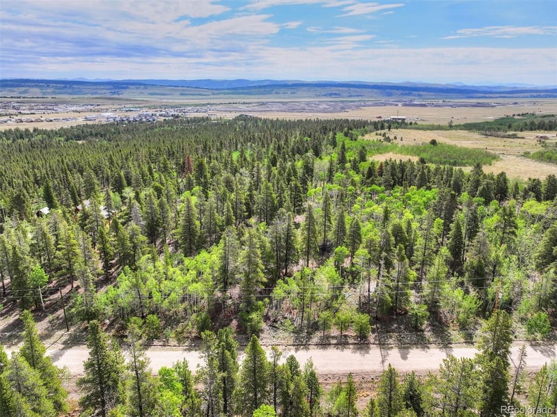 198 Green Bottle Cir, Fairplay, CO 80440