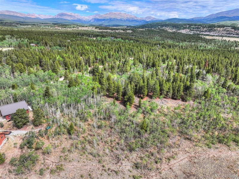 198 Green Bottle Cir, Fairplay, CO 80440