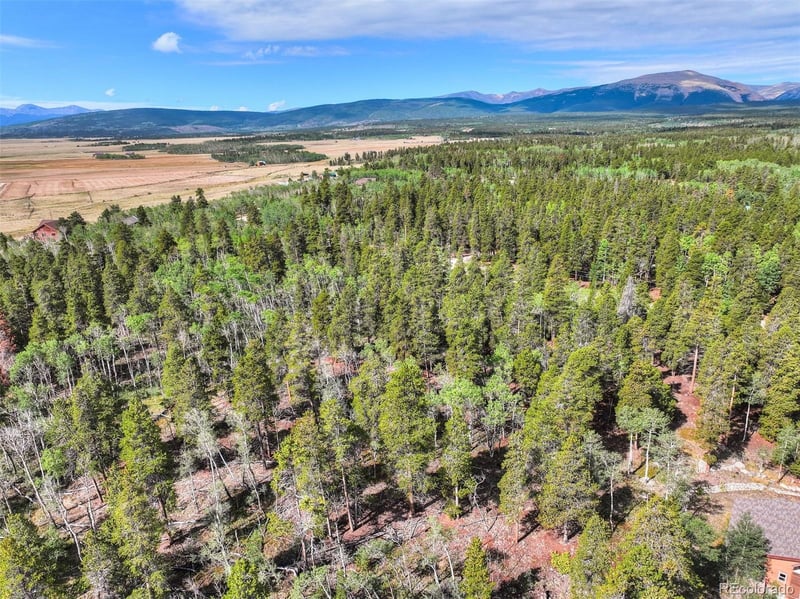 198 Green Bottle Cir, Fairplay, CO 80440
