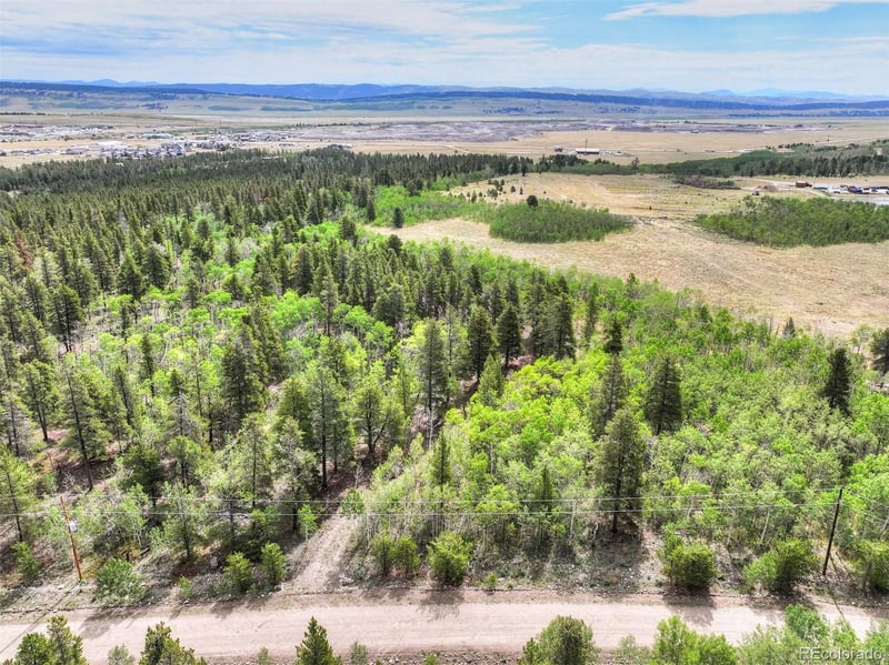242 Green Bottle Cir, Fairplay, CO 80440