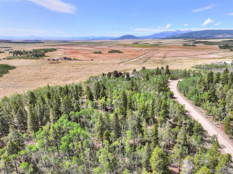 242 Green Bottle Cir, Fairplay, CO 80440