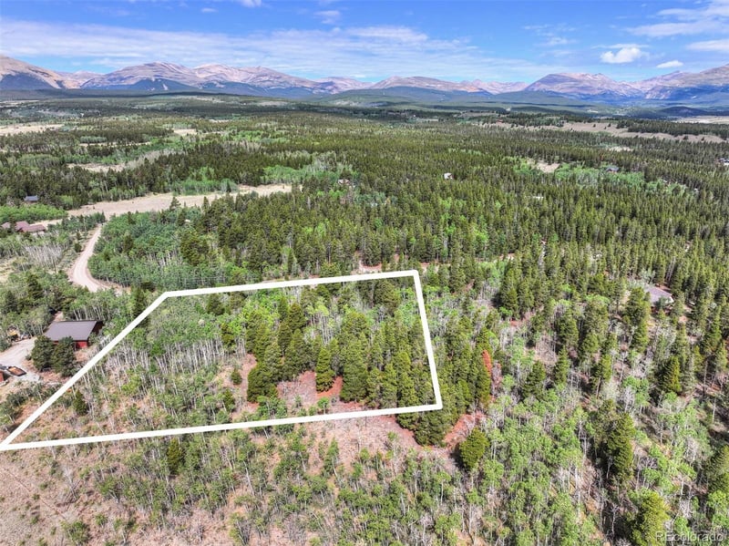 242 Green Bottle Cir, Fairplay, CO 80440