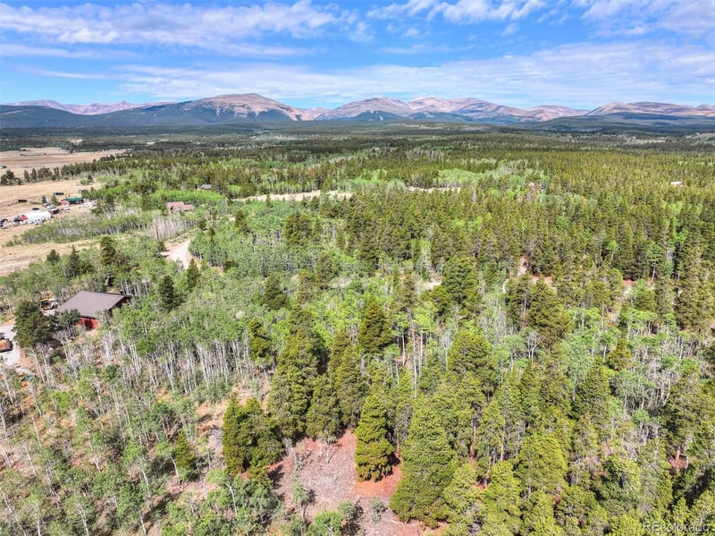 242 Green Bottle Cir, Fairplay, CO 80440