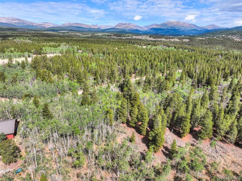 242 Green Bottle Cir, Fairplay, CO 80440