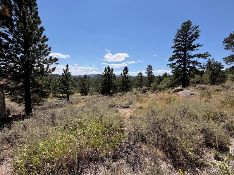 6920 Ottawa Way, Red Feather Lakes, CO 80545