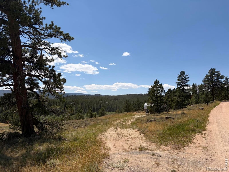 6920 Ottawa Way, Red Feather Lakes, CO 80545