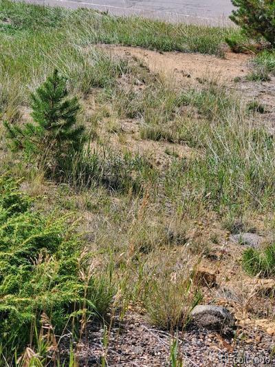 000 Quartz Valley, Central City, CO 80427