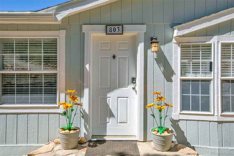 803 Bonell Dr, Fairplay, CO 80440