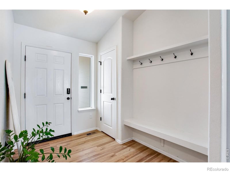 928 Barasingha St, Windsor, CO 80550
