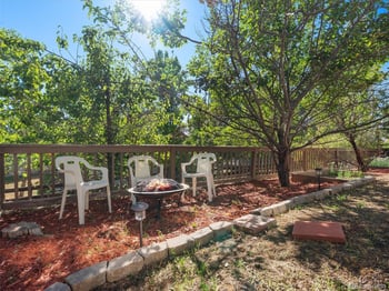 1921 Fringe Ct, Castle Rock, CO 80109