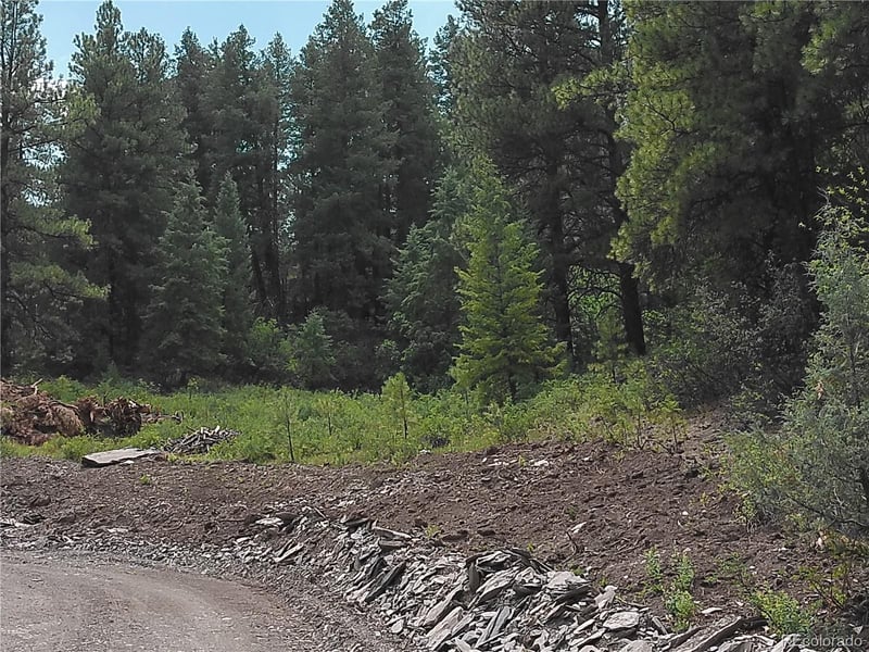165 Tiffany Pl, Pagosa Springs, CO 81147