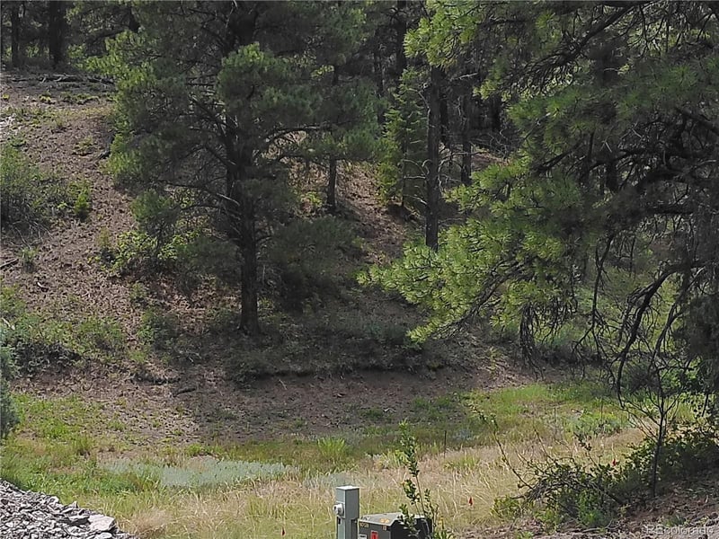 165 Tiffany Pl, Pagosa Springs, CO 81147