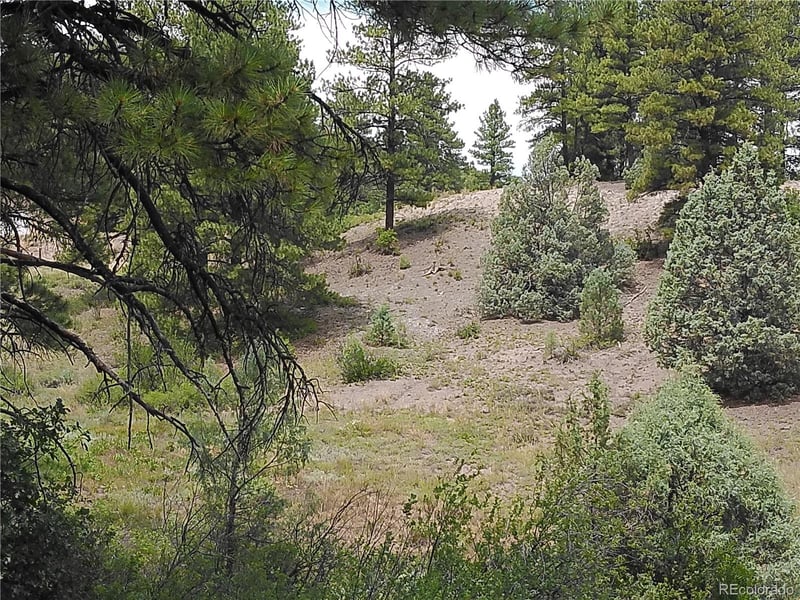 165 Tiffany Pl, Pagosa Springs, CO 81147