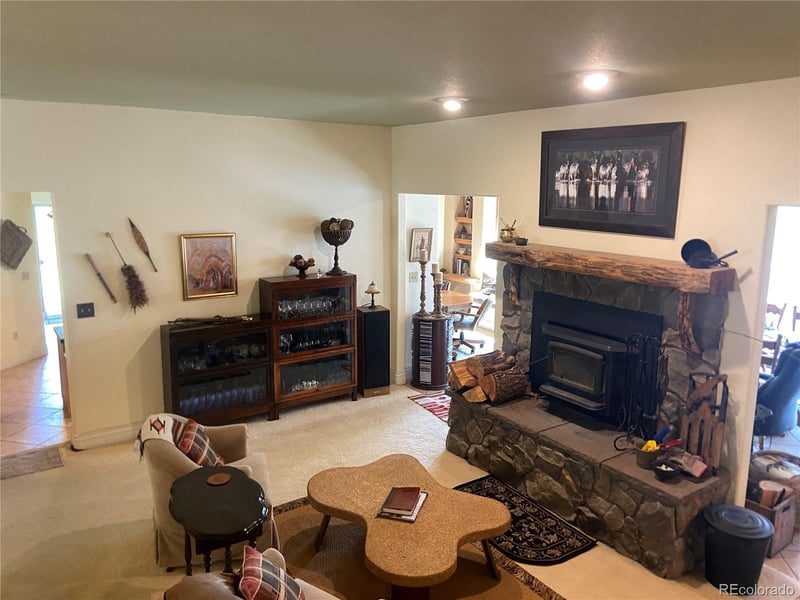14820 Little Beaver Ln, Nathrop, CO 81236