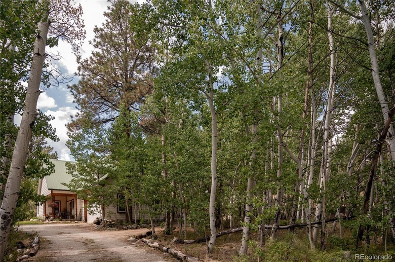 14820 Little Beaver Ln, Nathrop, CO 81236