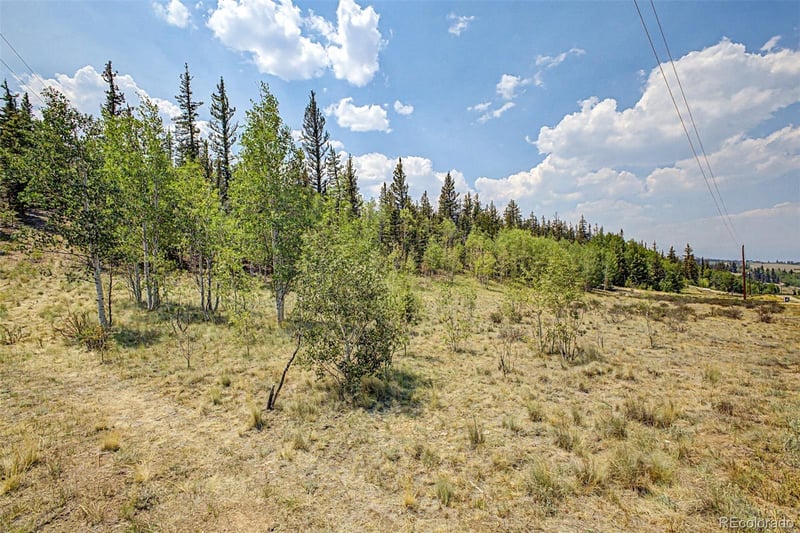 360 Palomino Dr, Jefferson, CO 80456
