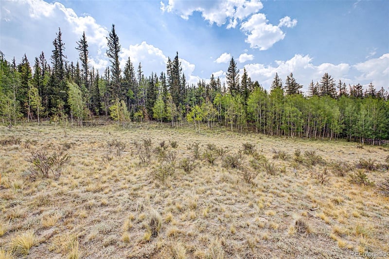 360 Palomino Dr, Jefferson, CO 80456