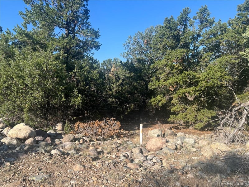 3587 3588 Alfresco Way, Crestone, CO 81131