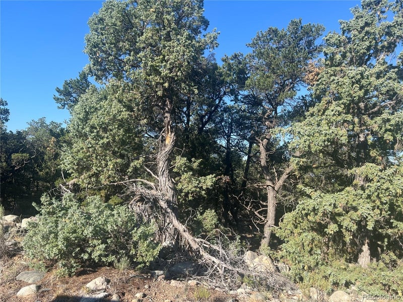 3587 3588 Alfresco Way, Crestone, CO 81131