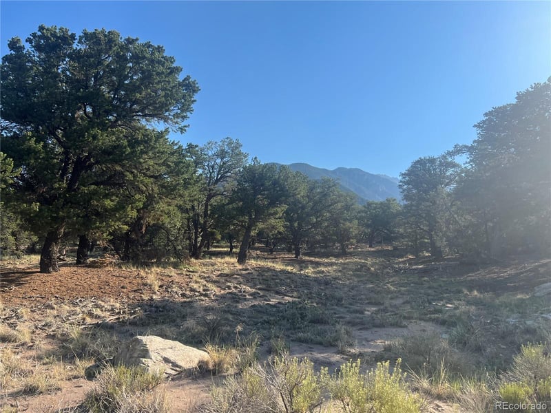 4351 Rarity Way, Crestone, CO 81131