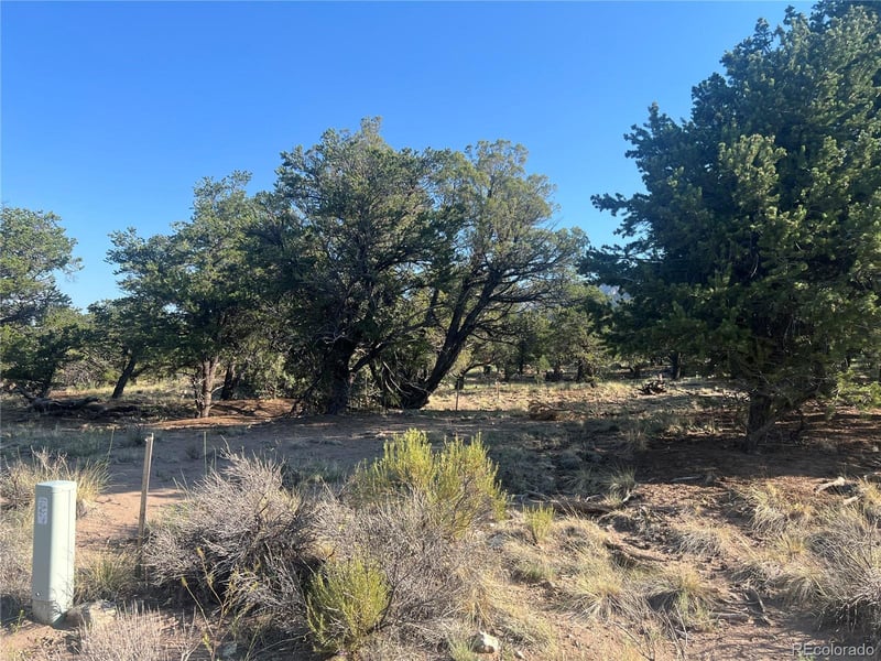 4351 Rarity Way, Crestone, CO 81131