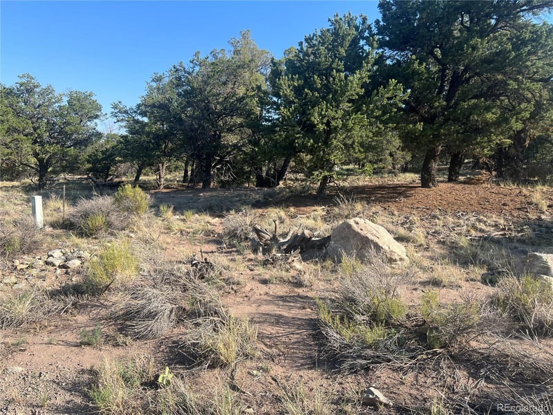 4351 Rarity Way, Crestone, CO 81131