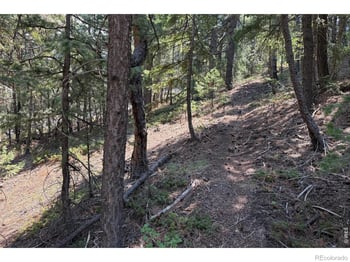2926 Magnolia Dr, Nederland, CO 80466