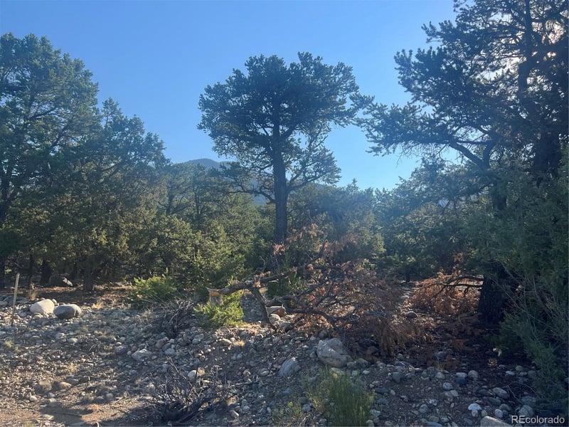 3641 Harmony Ct, Crestone, CO 81131