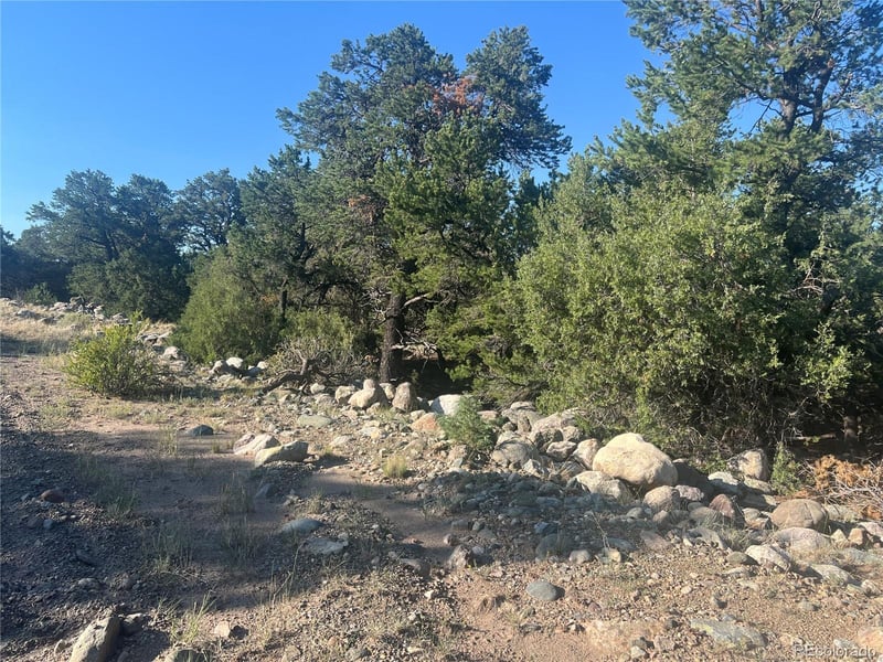 3641 Harmony Ct, Crestone, CO 81131