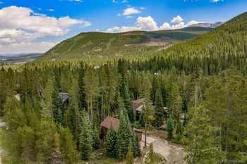 17 Blue Grouse Trl, Blue River, CO 80424