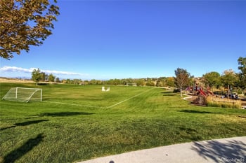 21827 E Tallkid Ave, Parker, CO 80138