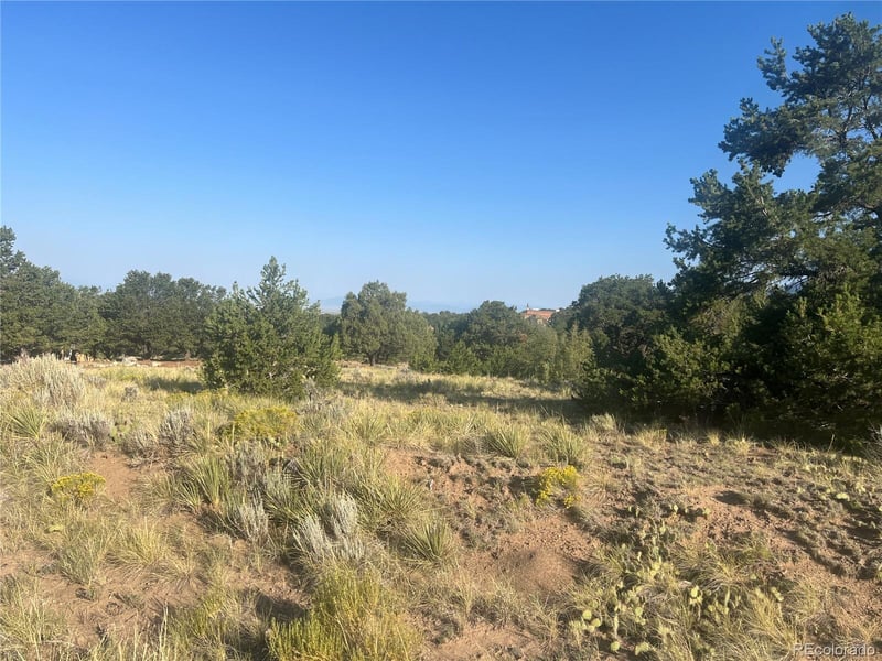 4292 Fallen Tree Overlook, Crestone, CO 81131