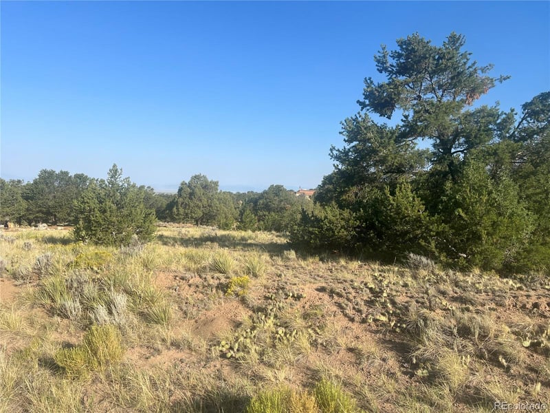 4292 Fallen Tree Overlook, Crestone, CO 81131