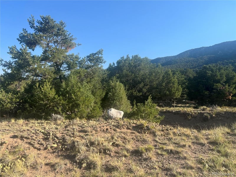 4292 Fallen Tree Overlook, Crestone, CO 81131