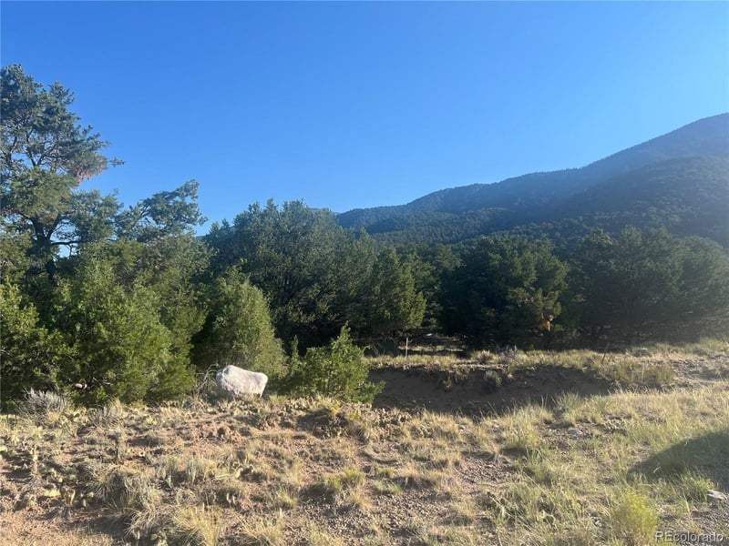 4292 Fallen Tree Overlook, Crestone, CO 81131