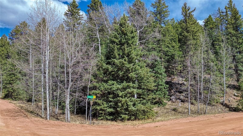3075 Mountain Estates Rd Lot 1475, Florissant, CO 80816
