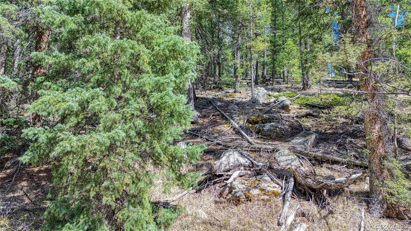 3075 Mountain Estates Rd Lot 1475, Florissant, CO 80816