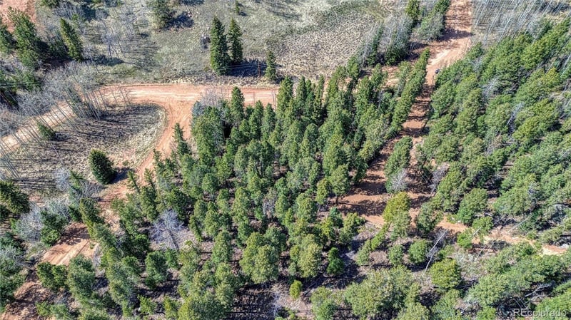 3075 Mountain Estates Rd Lot 1475, Florissant, CO 80816