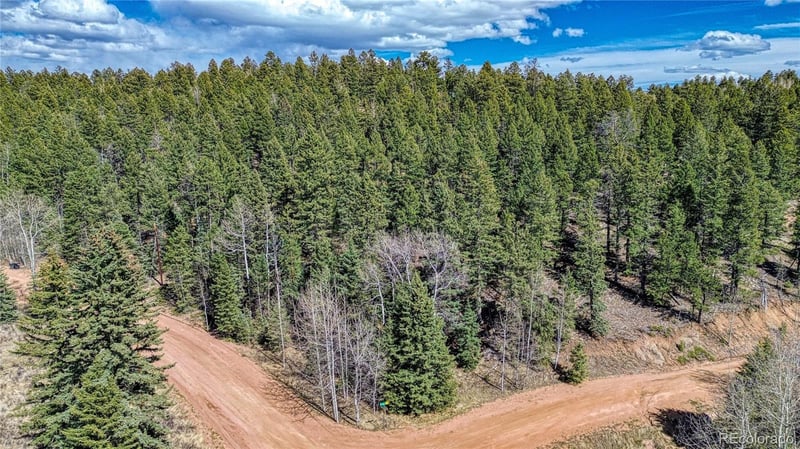 3075 Mountain Estates Rd Lot 1475, Florissant, CO 80816
