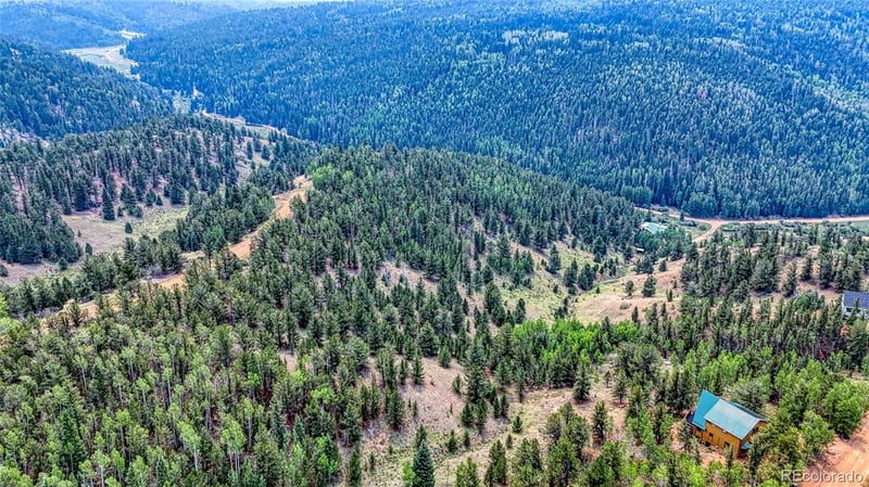 71 Brown Bear Ln Lot 17, Cripple Creek, CO 80813