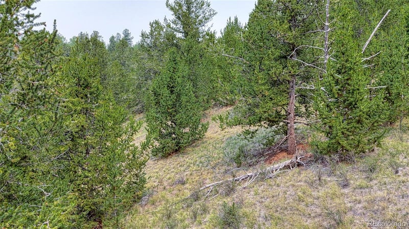 71 Brown Bear Ln Lot 17, Cripple Creek, CO 80813