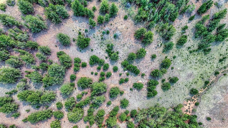 71 Brown Bear Ln Lot 17, Cripple Creek, CO 80813