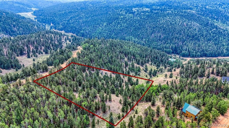 71 Brown Bear Ln Lot 17, Cripple Creek, CO 80813