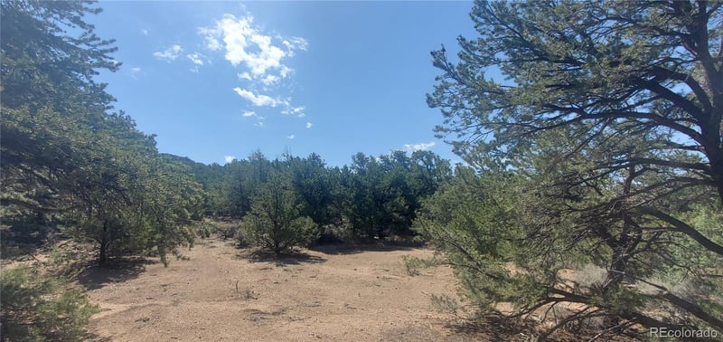 Lot 1412 Michaels Rd, Fort Garland, CO 81133