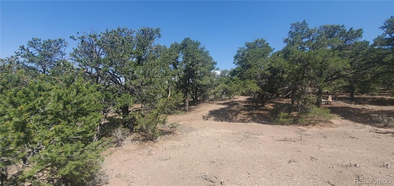 Lot 1412 Michaels Rd, Fort Garland, CO 81133