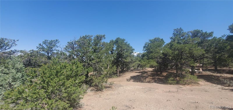 Lot 1412 Michaels Rd, Fort Garland, CO 81133