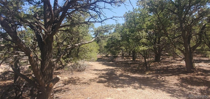 Lot 1412 Michaels Rd, Fort Garland, CO 81133