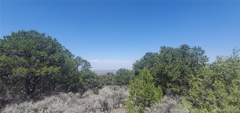 Lot 1412 Michaels Rd, Fort Garland, CO 81133